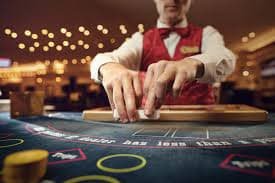 Langkah awal membaca panduan sumotogel
